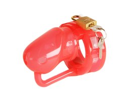 MALESATION Penis Cage Silicone small red-clear